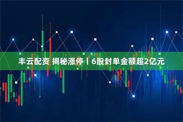 丰云配资 揭秘涨停丨6股封单金额超2亿元