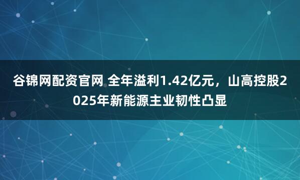 谷锦网配资官网 全年溢利1.42亿元，山高控股2025年新能源主业韧性凸显